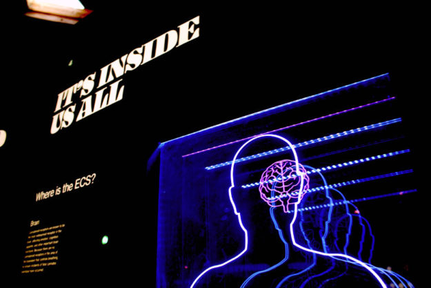 Les neurosciences au service de l’apprentissage Les neurosciences au service de l’apprentissage