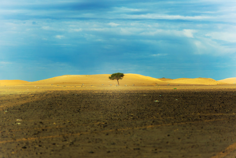 resilience-depasser-echec